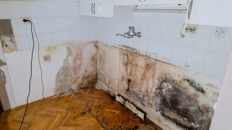Mold and water damage stains on kitchen walls and floor, with missing cabinets and exposed plumbing.