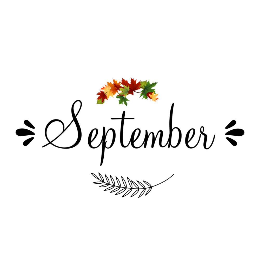 Colorful autumn leaves and candles on a black background with a yellow rectangular stain to the right.